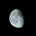 Moonlight Walk - Saturday 21st June