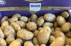 Jersey Royal Potatoes - The season is here! 10/04/17