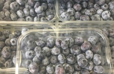Local Blueberries - *Now Available*  24/07/17