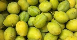 *New Arrivals* Greengagers, Local Chidham Broccoli & Victoria Plums 03/08/17