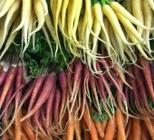 Local Heritage Carrots. Supreme Quality *Now Available*  22/08/17