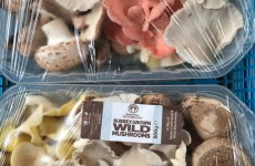 Local Wild Mushrooms *Now Available*