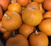 *Local* Perfectly Produced Pumpkins. Now Available! 05/10/17