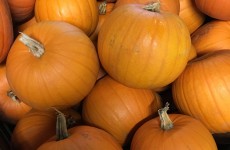*Local* Perfectly Produced Pumpkins. Now Available! 05/10/17