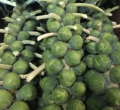 Sprouts, Sprout Tops & Stalks *Now Available* 06/11/17