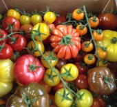 Nutbourne Heirloom Tomatoes *Now Available* 12/03/16