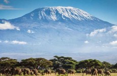 *Kilimanjaro Challenge 2018*