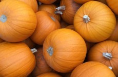 Halloween at Munneries 20/10/16