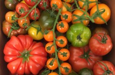 Nutbourne Tomatoes - *NOW Available* 08/04/17