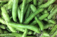 * Now Available* Local Broad Beans & Tenderstem 03/07/17