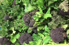 LOCAL Grown Purple Sprouting *Now Available* 09/04/18