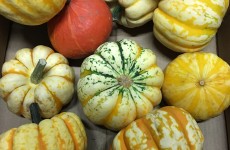 Halloween At Munneries 14/10/19