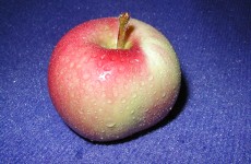 New LOCAL Apples. Now in Stock