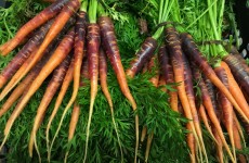 Lovely Local & UK Produce 27/06/16