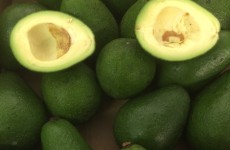 Class 1 - Avocados SPECIAL OFFER