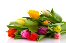 Mothers Day 2023 *13/03/23*