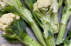 *LOCAL* Cauli-Shoots *Now Available* 15/07/22