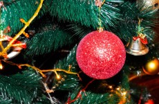 Local Produce for the festivities *24/11/22*