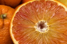 Seville & Blood Oranges *Now Available* - 03/01/25 -