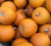 Halloween at Munneries 20/10/16