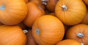 Halloween at Munneries 20/10/16