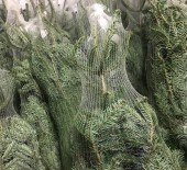 Non Drop Christmas Trees - NOW AVAILABLE & IN STOCK  29/11/16