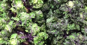 Sprout Flower Stalks - Now available 31/01/17