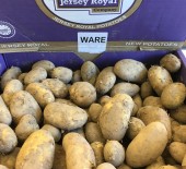 Jersey Royal Potatoes - The season is here! 10/04/17