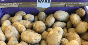 Jersey Royal Potatoes - The season is here! 10/04/17