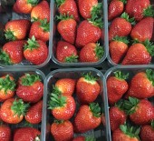 LOCAL Strawberries *Available from 19th March* 15/03/18
