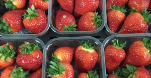 LOCAL Strawberries *Available from 19th March* 15/03/18