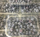 Local Blueberries - *Now Available*  24/07/17