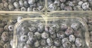Local Blueberries - *Now Available*  24/07/17