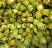Kent Cobnuts & Damson Plums *Now Available* 10/08/17
