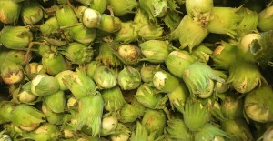 Kent Cobnuts & Damson Plums *Now Available* 10/08/17