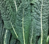 Local Green Goodies 11/09/17
