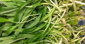 Wild Garlic *Now Available* 19/03/18