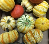 Halloween At Munneries 14/10/19