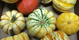 Halloween At Munneries 14/10/19