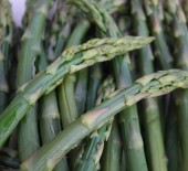 LOCAL Asparagus - In its Prime! 01/06/19