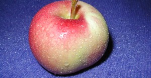 New LOCAL Apples. Now in Stock