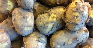 Jersey Royal Potatoes *Now Available*  09/03/18