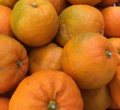 Seville Oranges *Now Available*  08/01/18