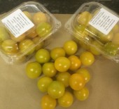 Yellow Cherry Tomatoes - Special Offer this weekend!