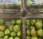 Kiwi Berries
