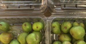 Kiwi Berries