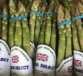 English Asparagus has arrived! 15/04/16