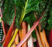 Local Rainbow Chard & Fancy Lettuce 14/07/16