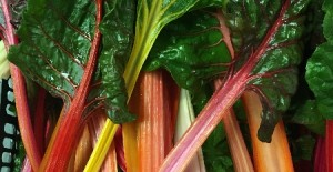 Local Rainbow Chard & Fancy Lettuce 14/07/16