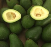 Class 1 - Avocados SPECIAL OFFER
